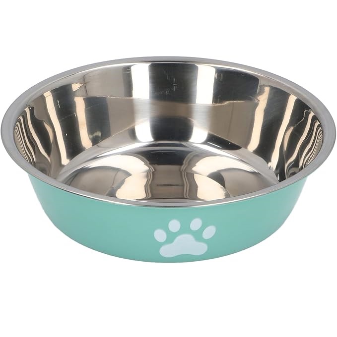Gamelle Inox avec Plusieurs Couleurs (Bleu | Rose | Maron | Turquois) - Turquois
