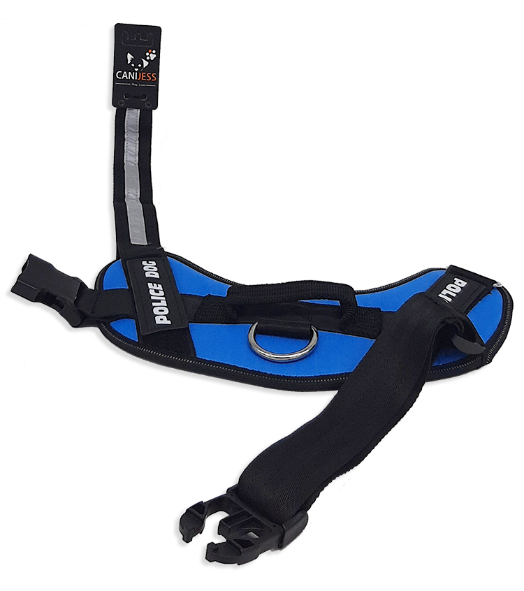 Harnais Canijess bleu pour chien moyen 50cm-77cm