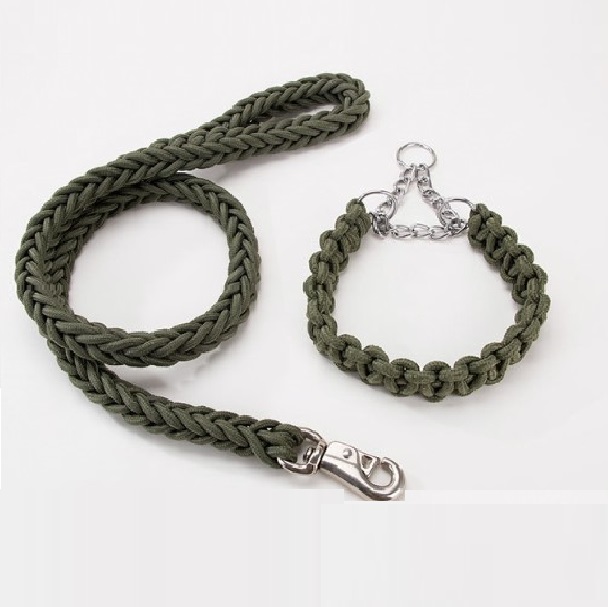 Laisse avec collier pour grand chien (Rouge/Noir | Noir | Bleu/Noir | Vert foncé) - Vert Foncé