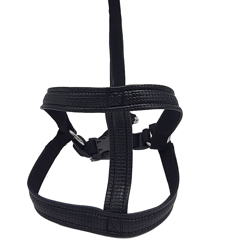 Laisse Harnais Noir - 25mmx120cm pour chien de grande race - CANIJESS
