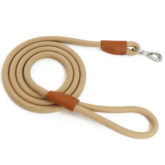 Laisse robuste pour grand chien (2m)