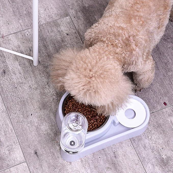 Mangeoire automatique pour animaux Alimentation et Eau ( Rose | Violet) - Violet