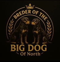 Breder Of The Big Dog Of North