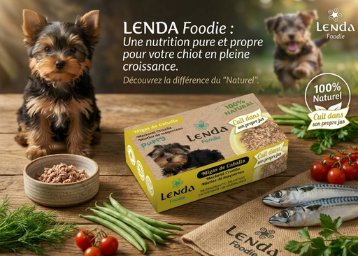 [290079] Pâté : Aliment complémentaire humide :Maquereau naturel pour chiot Lenda Foodie Puppy 120g