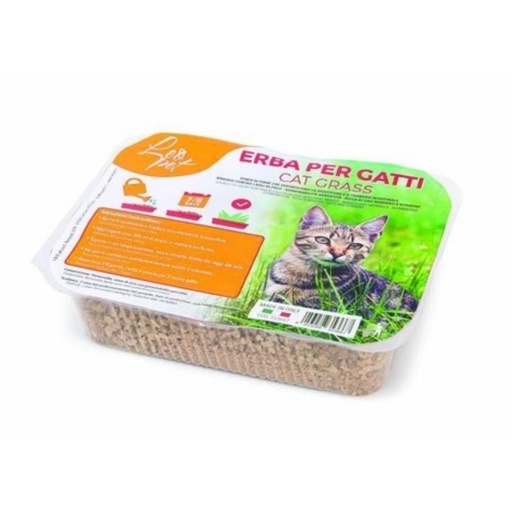 [leo-pet-cat-grass-with-coco-fiber-natural-digestive-support-hairball-control-100g-copy] Herbe à chat Leo Pet – Soutien digestif naturel et contrôle des boules de poils (100 g)