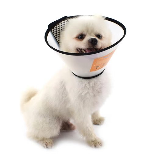 [colerette-recuperation-ajustable] Colerette de Récupération Ajustable – 7 Tailles pour Chiens et Chats (15–46 cm)