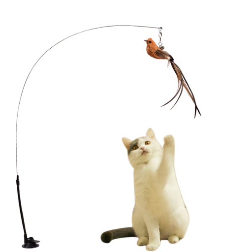 [jouet-interactif-chat-plume] Teaser interactif pour chat Feather Frenzy