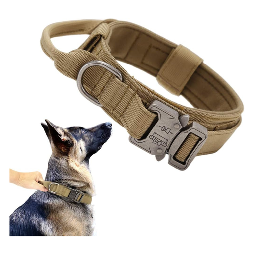 [collier-robuste-pour-chien] Collier pour Chien Robuste – Nylon Renforcé avec Doublure Souple