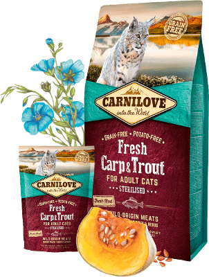 [carnilove-fresh-carptrout-sterilised-400g-2kg-6kg] Carnilove Fresh Carp&Trout Sterilised 400G/2Kg/6Kg