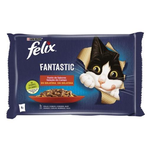 [purina-felix-multipack-fantastic-festin-de-viande-en-gelee-4x85g] Purina Felix Multipack Fantastic Festin de viande en gelée 4x85g