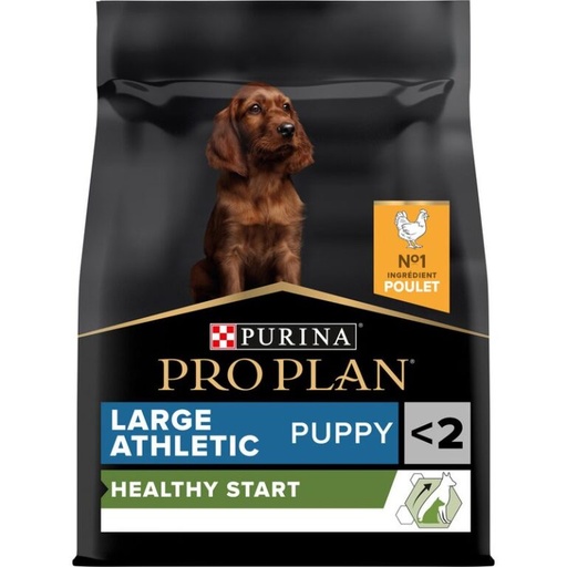 [pro-plan-large-athletic-puppy-12kg-casablanca] Pro Plan Large Athletic Puppy 12kg – Croquettes Chiot Grande Race à Casablanca