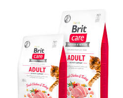 [SKL-C25-2KG] Brit Adulte Poulet & Dinde — 2 kg