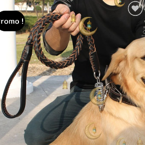 [SKL-D-LEASH-LEATHER-12M] Laisse en Cuir avec Amortisseur — 1.2 m