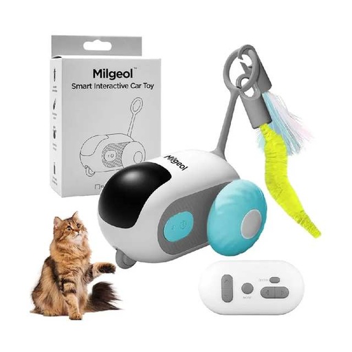 [6966163164628] Smart interactive car toy