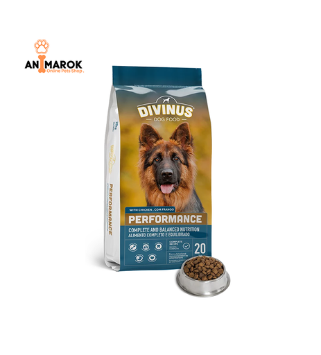 [AMR-4] DIVINUS Performance — 20 KG