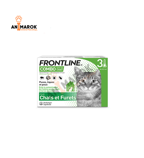 [AMR-54] FRONTLINE Combo Cat
