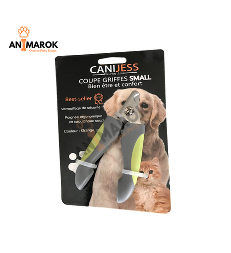 [AMR-134] Canijess Coupe Griff...
