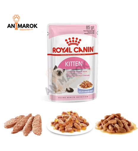 [AMR-405] ROYAL CANIN® Kitten
