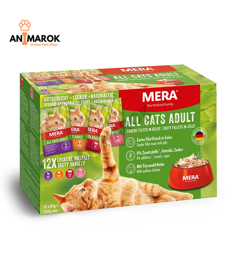 [AMR-536] Mera Cats Multibox