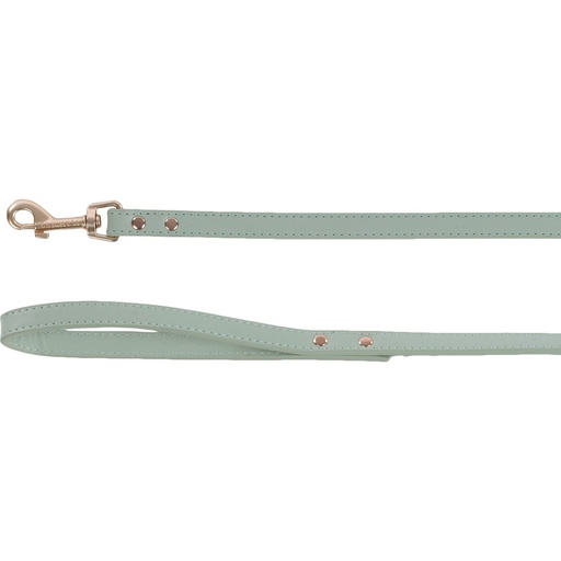 [520023VER] LAISSE NYLON SHINY VERT