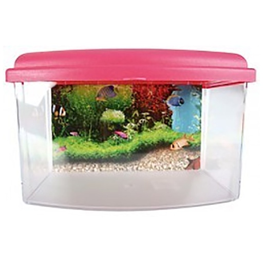 [303037] AQUA TRAVEL BOX II SMALL 22CM