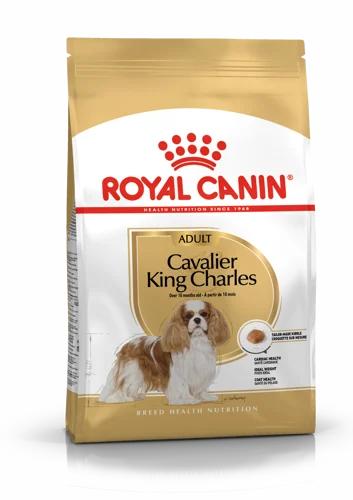 [royal-canin-cavalier-king-charles-adulte-15-kg] Royal Canin Cavalier King Charles Adulte 1,5 kg