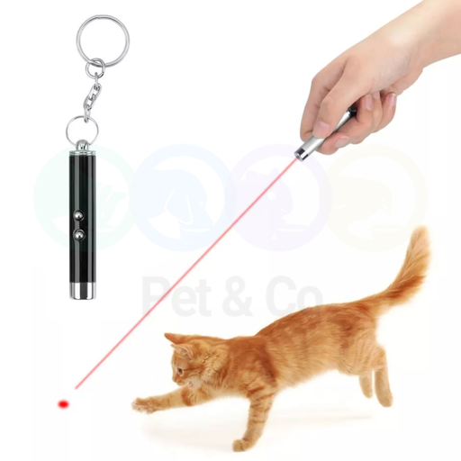 Jouet laser pour Chats