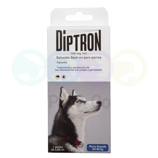 Pipette anti-parasitaires pour Chiens 20-40kg - Diptron