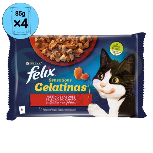 Felix Chunks in Jelly for Cats with Meat Sensations 4×85g