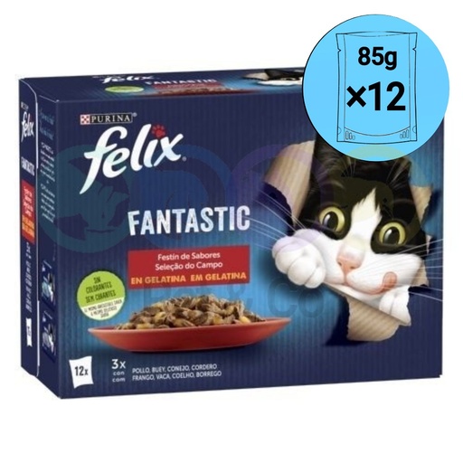 Lot Felix Chunks in Jelly for Cats with Meat Fantastic 12×85g