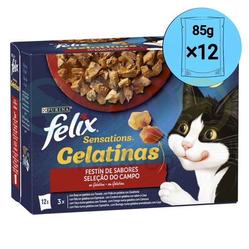 Lot Felix Chunks in Jelly for Cats Selection of Campaign 12×85g