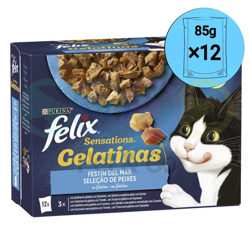 Lot Felix Chunks in Jelly for Cats with Fish Sensations 12×85g