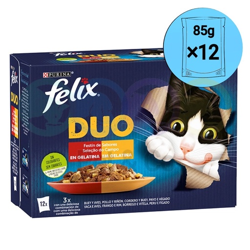 Lot Felix Chunks in Jelly for Cats Feast of Flavors DUO 12×85g
