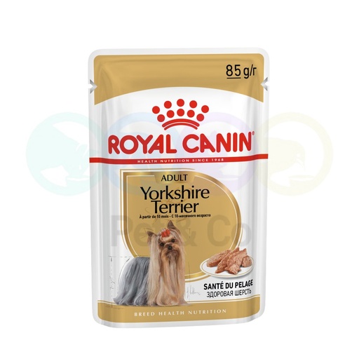 Royal Canin Loaf for Yorkshire Terrier 85g