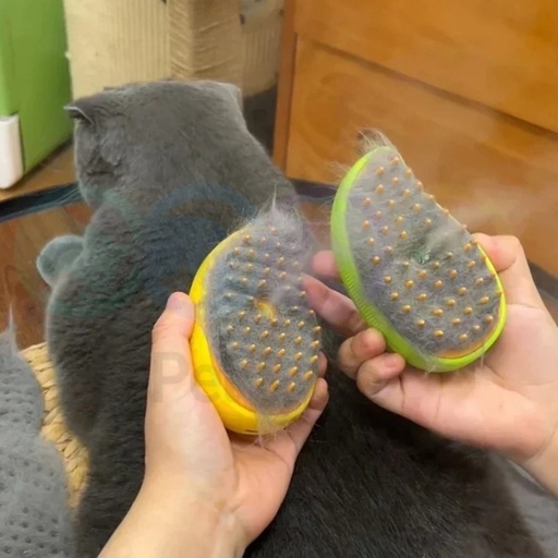 Steam Brush for Cats & Dogs