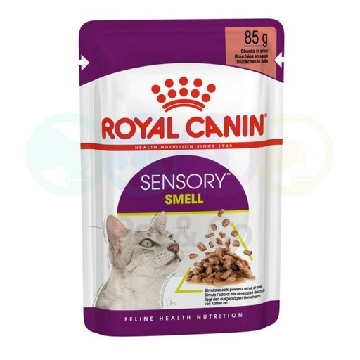 Royal Canin Chunks in Gravy for Cats Sensory Smell 85g