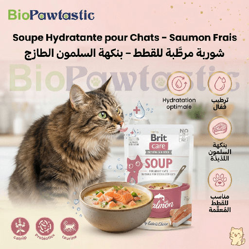 Soupe Hydratante pour Chats