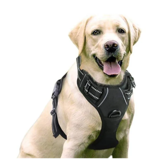 Harnais pour chiens de taille grande - L