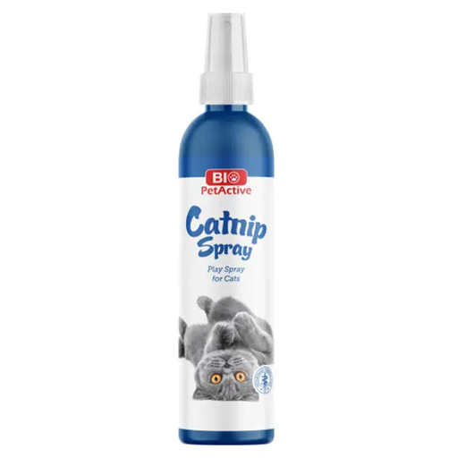 Herbe Catnip Spray à chat - Bio PetActive 100ml