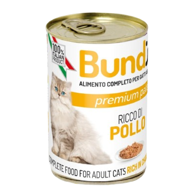 Pâté de poulet Bundy Chat 400g