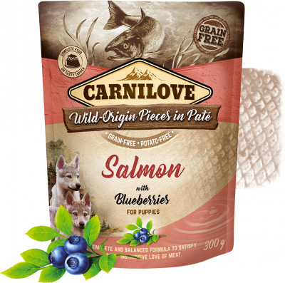 Carnilove Puppies Paté Salmon with Blueberries (Saumon) 300g