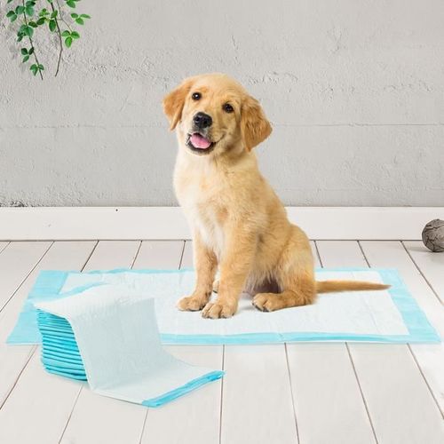 Lot de 25 tapis absorbants et éducatif pour chien 40 cm x 60 cm (canijess)