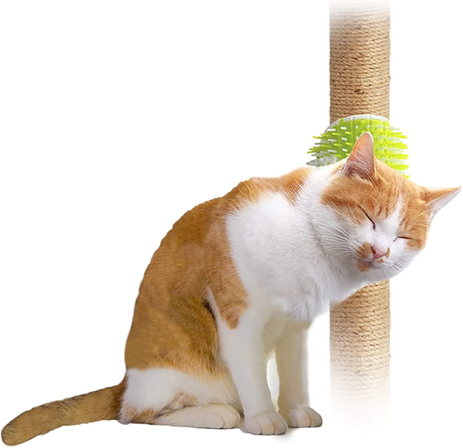 Brosse de toilettage pour chat 2 en 1 - Lifestyle