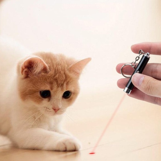 Jeux laser pour chat et chien