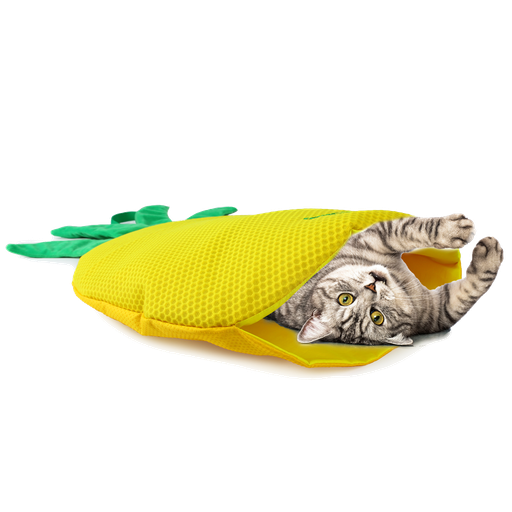 Jouet interactif: Tapis de jeu amusant pour chat rempli de Catnip