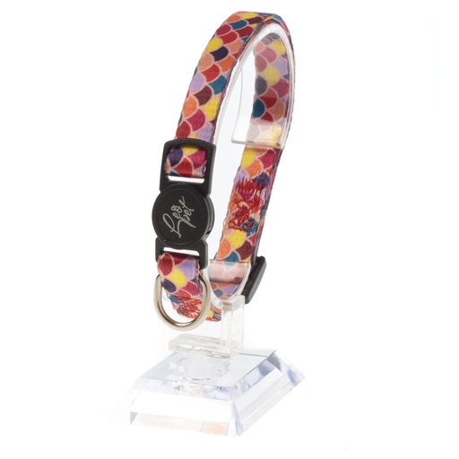 Leo Pet Collier Chat Arlequin 20-35cm (Orange ou Bleu) - Orange