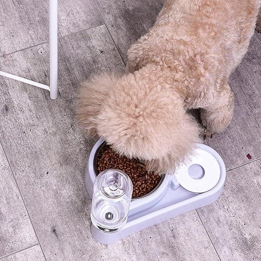 Mangeoire automatique pour animaux Alimentation et Eau ( Rose | Violet) - Violet