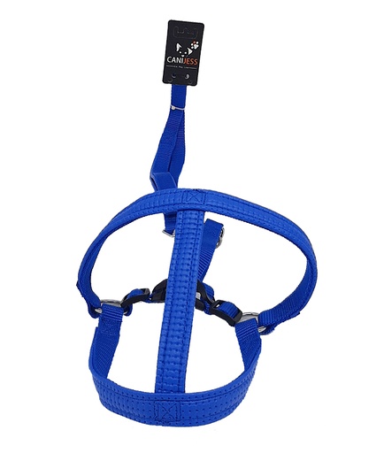 Laisse Harnais Bleu - 20mmx120cm pour chien de race moyenne- CANIJESS