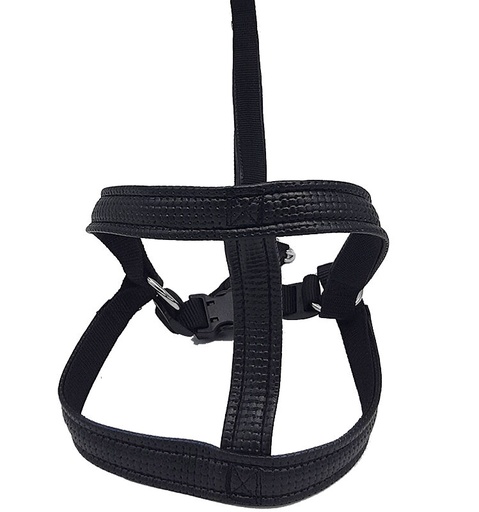Laisse Harnais Noir - 25mmx120cm pour chien de grande race - CANIJESS