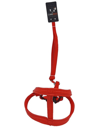 Laisse Harnais Rouge - 15mmx120cm pour chien de petite race- CANIJESS